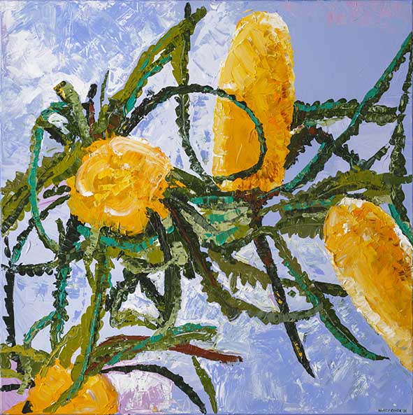 Banksia Dance