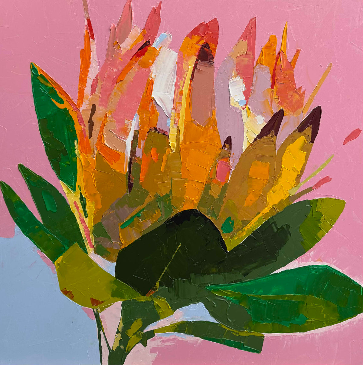 Princess Protea