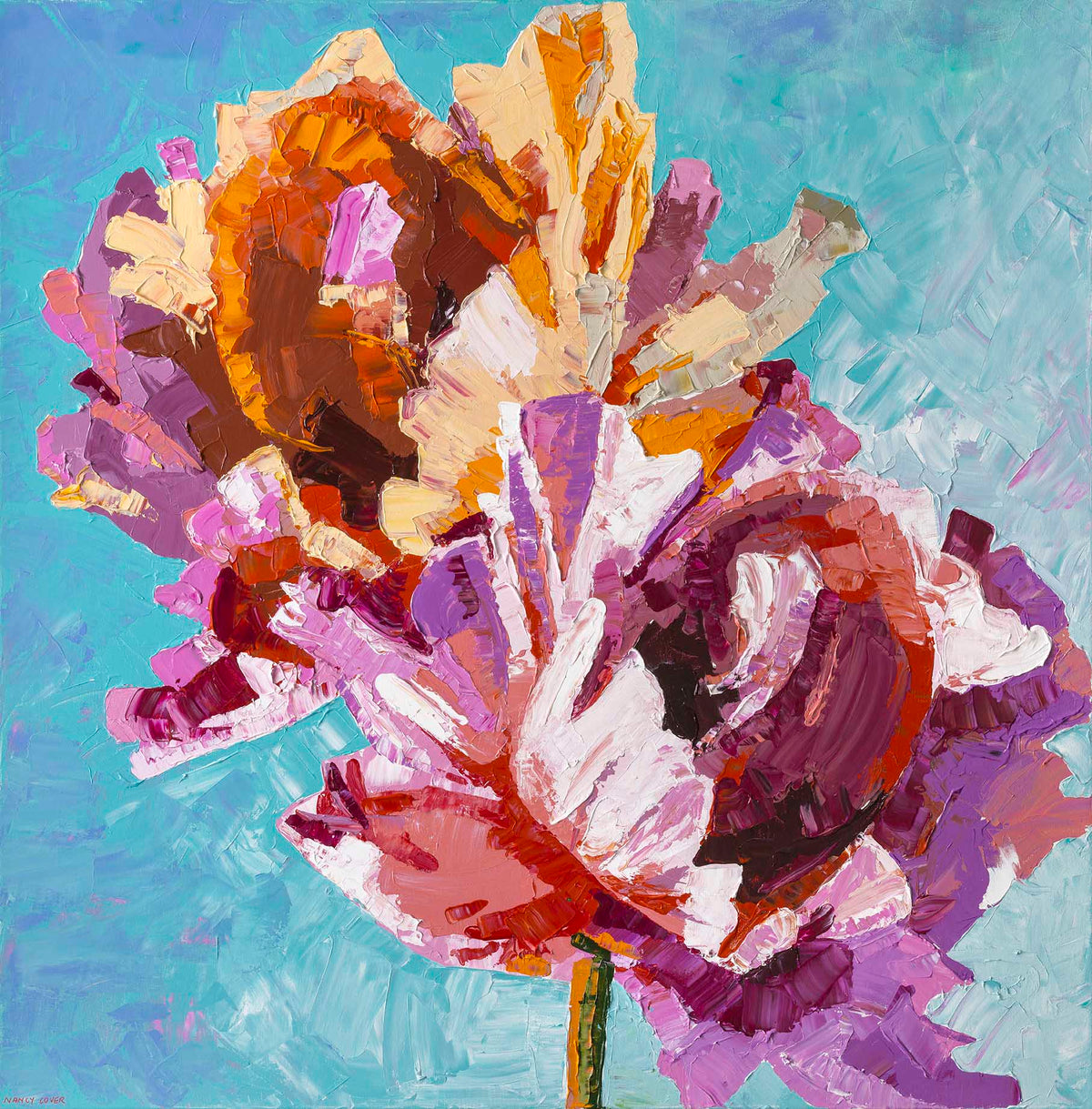 Sunlit Petals